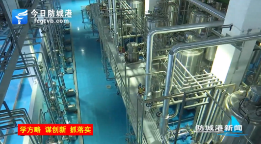 防城港电视台记者走访昆泽中药配方颗粒提取物项目(图2)