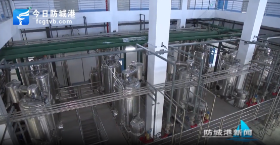 自治区副主席廖品琥率队到防城港国际医学开放试验区调研(图2)